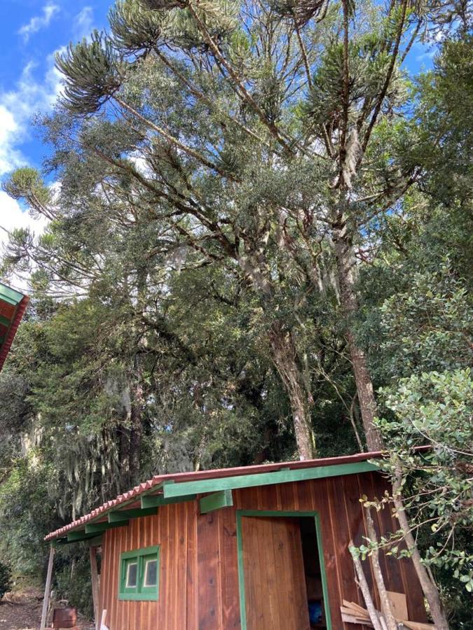 Casa Alternativa Pedacinho Do Ceu Holiday home
